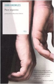 Cover of Una paz solo nuestra