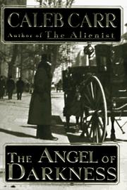 Cover of The angel of darkness