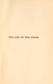 Cover of The Life of the Spider