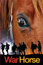Cover of War Horse