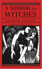 Cover of A mirror for witches