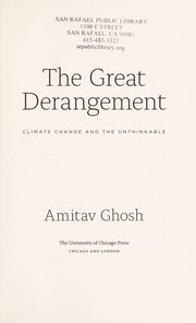 Cover of The Great Derangement