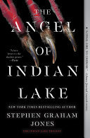 Cover of The Angel of Indian Lake