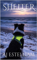 Cover of Shelter