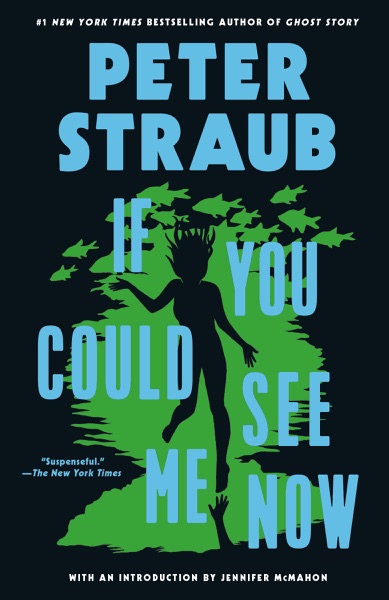 Cover of If You Could See Me Now