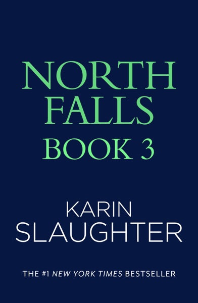 Cover of North Falls Libro 3 : Uscita nel 2027