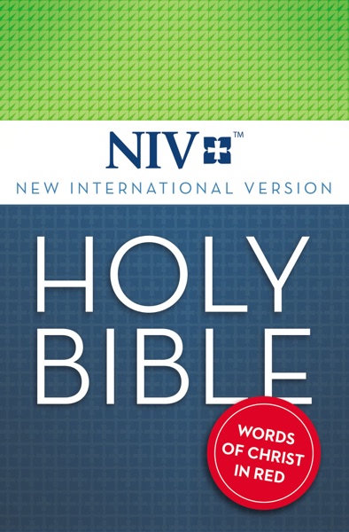 Cover of NIV, Holy Bible, Red Letter Edition
