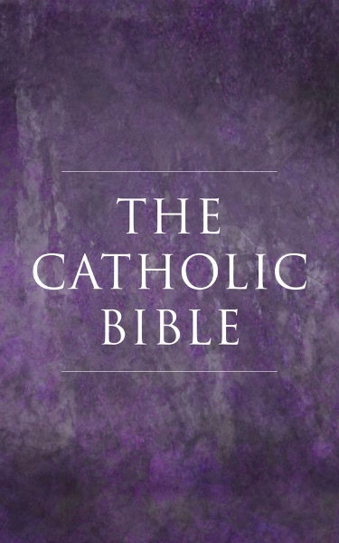 Cover of The Catholic Bible