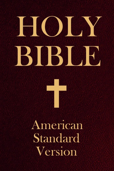 Cover of Bibbia