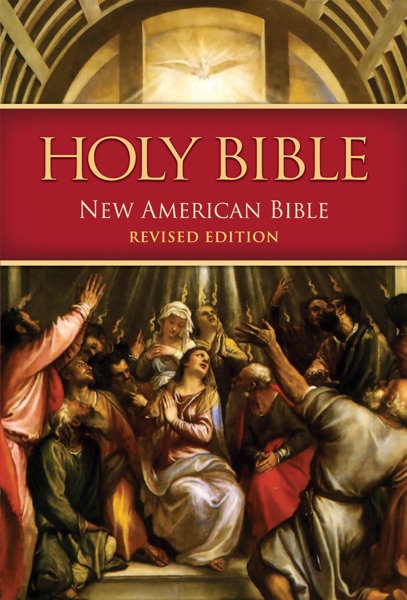 Cover of NABRE - Nuova Bibbia Americana (Edizione Riveduta)