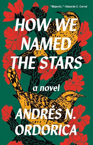 Cover of How We Named the Stars