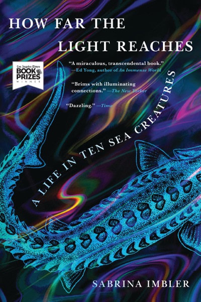 Cover of How Far the Light Reaches