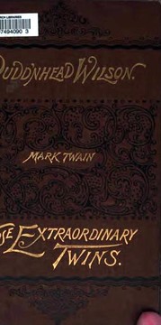 Cover of Novels (Pudd'nhead Wilson / Those Extraordinary Twins)