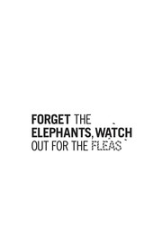 Cover of Forget the elephants, watch out for the fleas